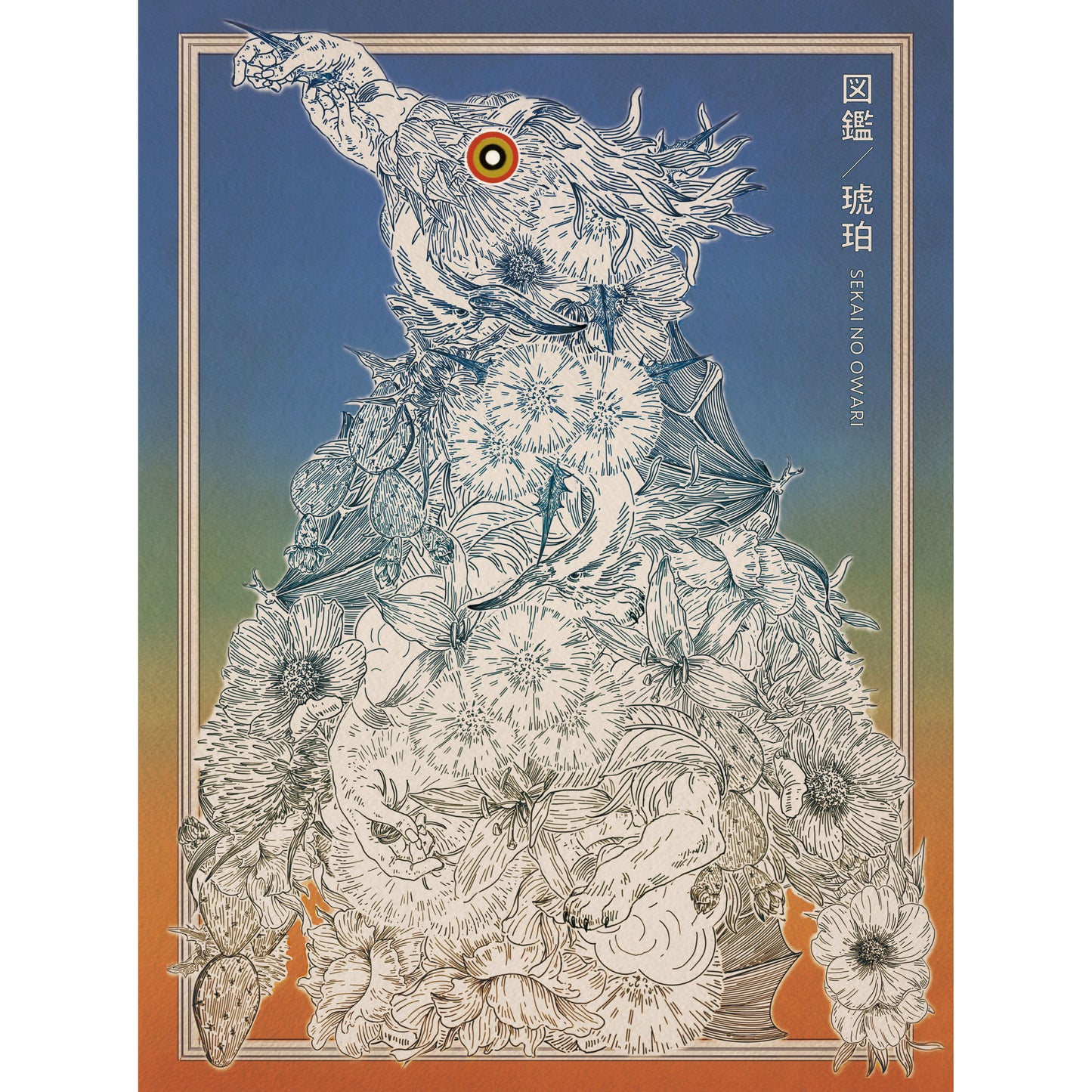 図鑑/琥珀 【初回限定盤B】【CD+DVD】