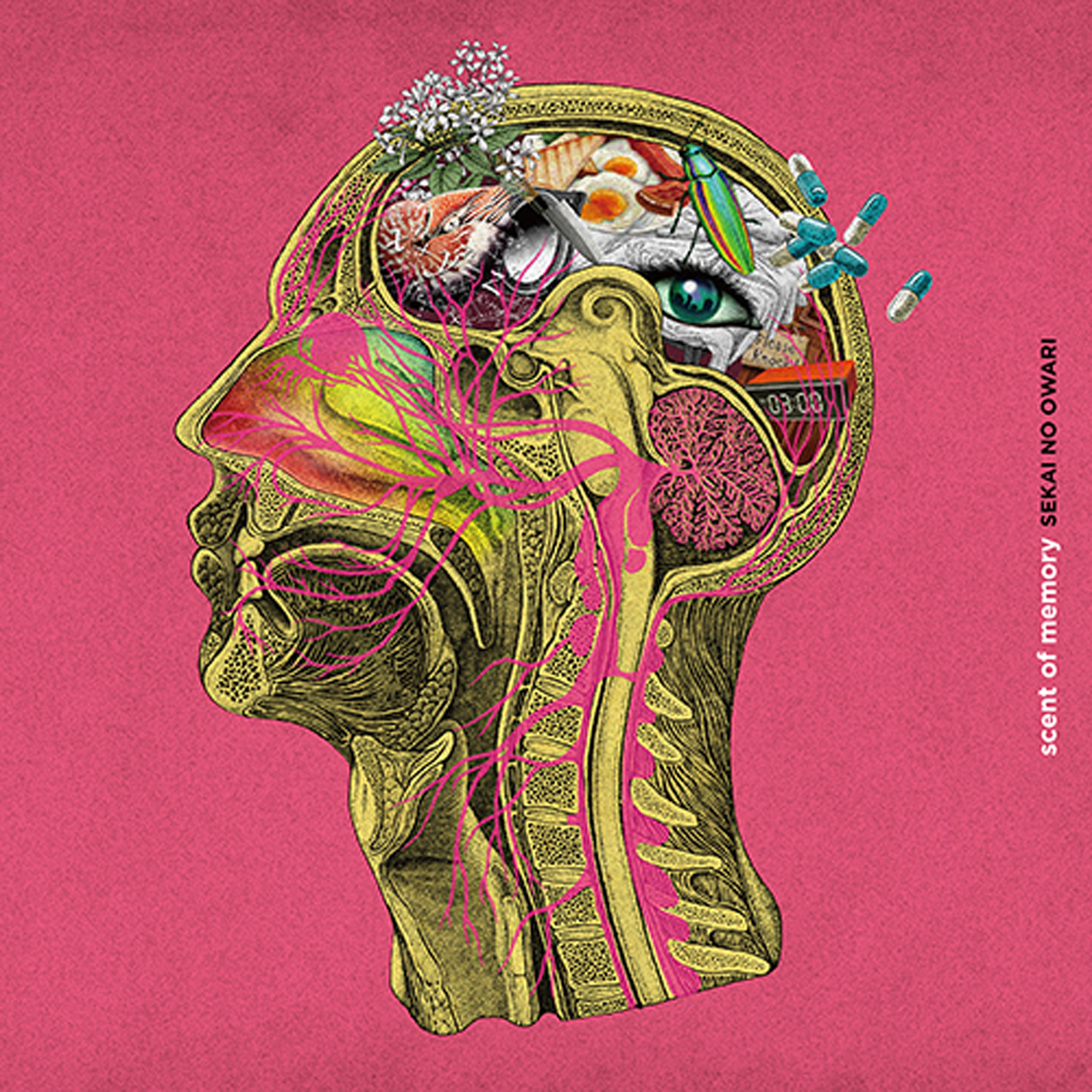 scent of memory【キャンドル盤】【CD】【+グッズ】 – SEKAI NO OWARI