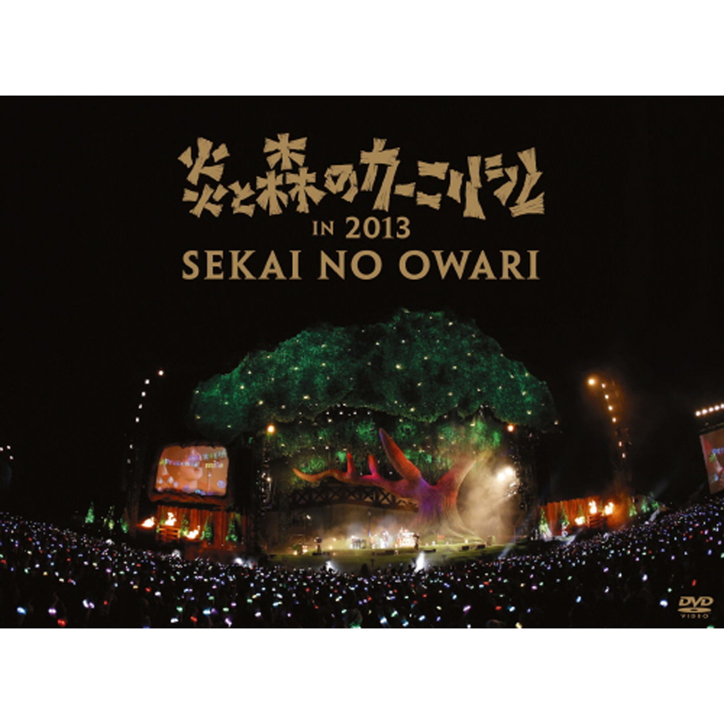 炎と森のカーニバル in 2013【DVD】