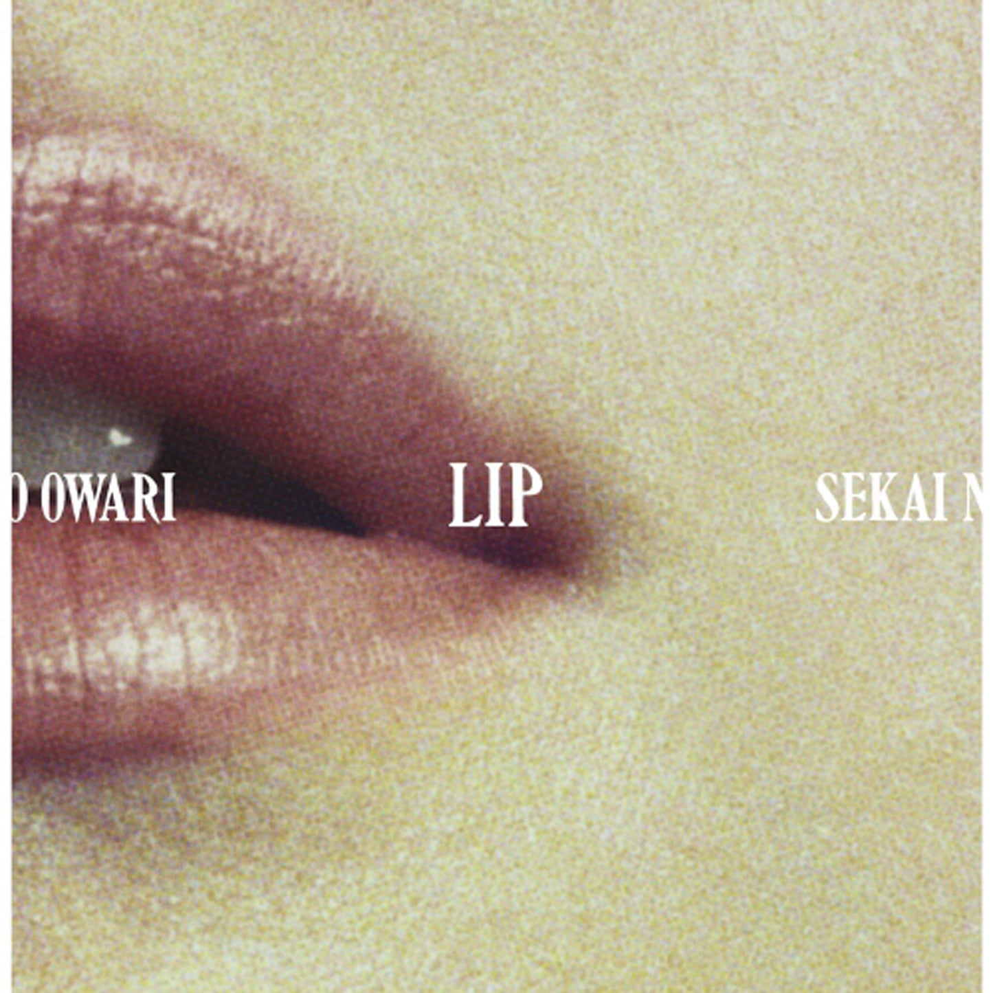 LIP【初回限定盤】【CD】【+DVD】