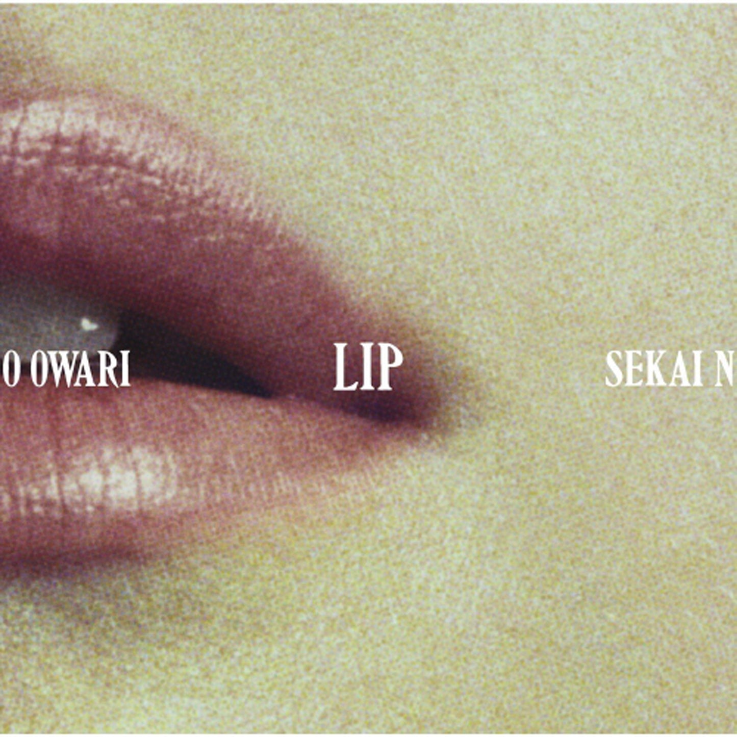 LIP【通常盤】【CD】