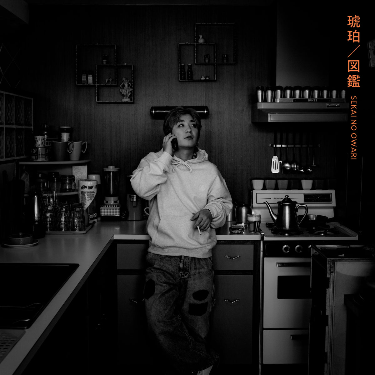 琥珀／図鑑 【通常盤A】【CD】 – SEKAI NO OWARI official store