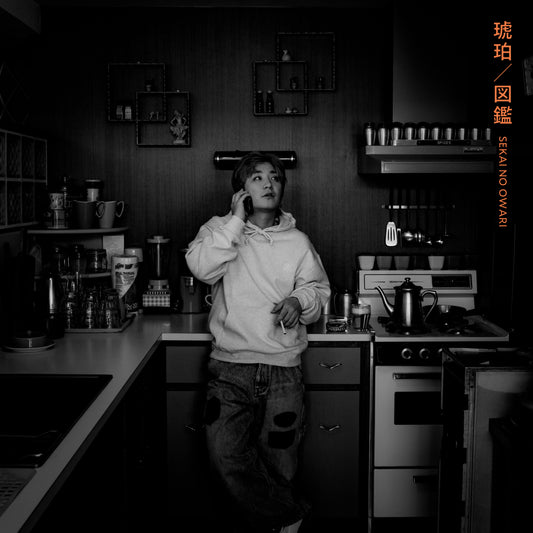 琥珀／図鑑 【通常盤A】【CD】