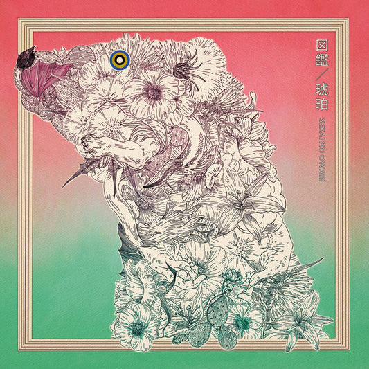 図鑑／琥珀 【通常盤B】【CD】