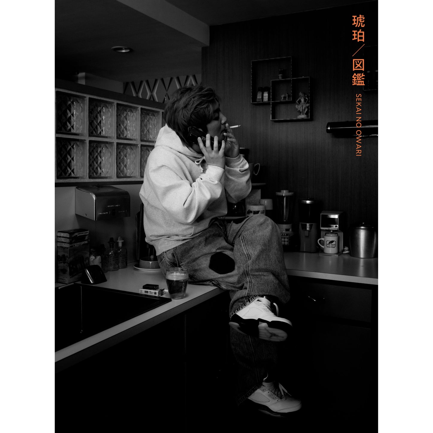琥珀／図鑑 【初回限定盤A】【CD+DVD】