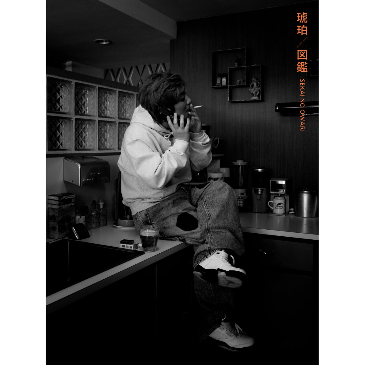 琥珀／図鑑 【初回限定盤A】【CD+DVD】 – SEKAI NO OWARI official store