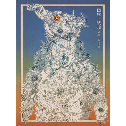 図鑑／琥珀 【初回限定盤B】【CD+DVD】
